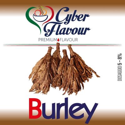 Aroma Concentrato Burley Cyber Flavour 10 ml
